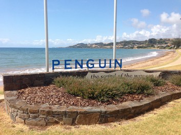 penguin-beach-tasmania