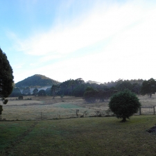 Morning Mist from Patio