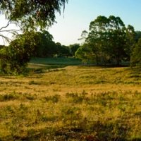 Farmland