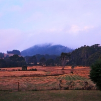 Misty view from the Verandah