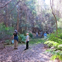 Walking Trail